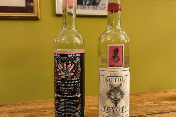 Mezcal, Sotol e Tequila a Seregno