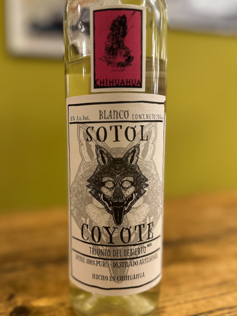 sotol coyote