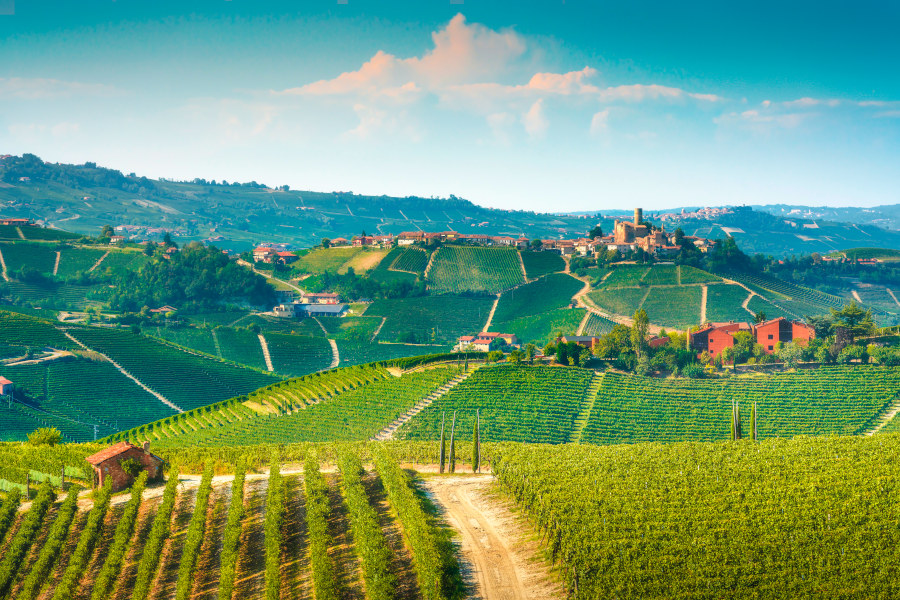 Montaribaldi e i grandi Rossi all’Osteria dei Vitelloni